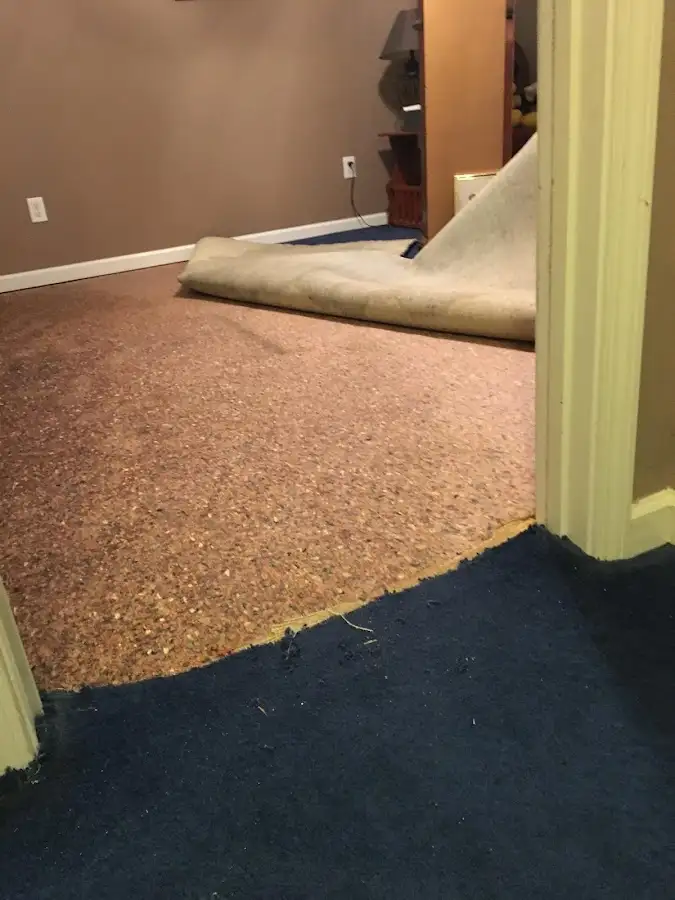 Carpet pad removal revealing water damage during Drying & Dehumidification in Johnstown